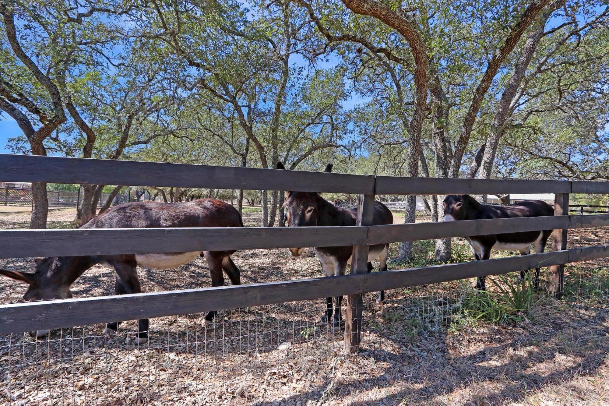 Red Donkey Cottage Wimberley Εξωτερικό φωτογραφία