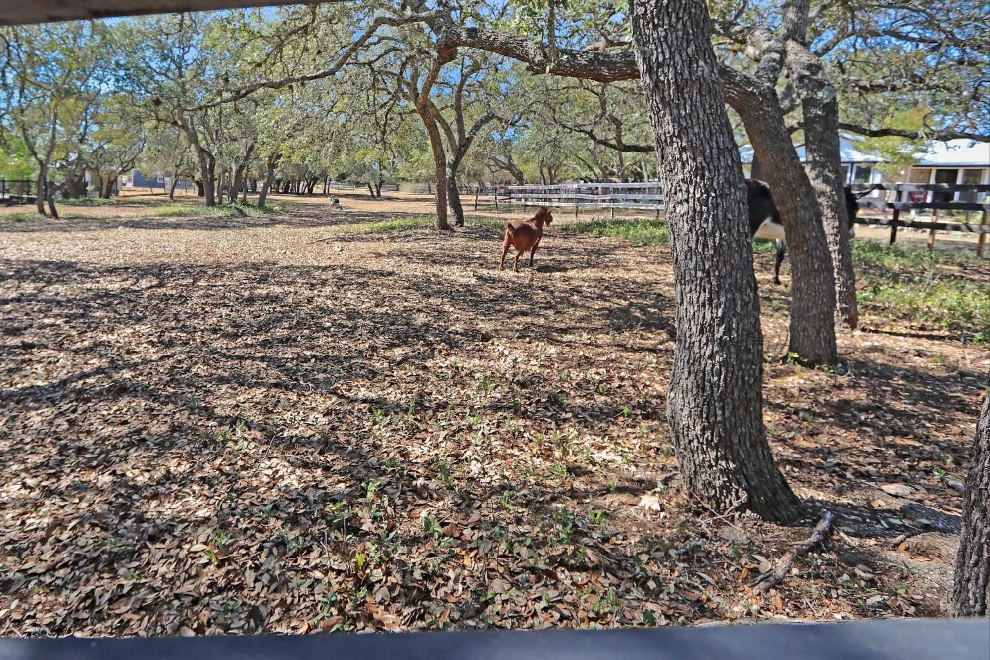 Red Donkey Cottage Wimberley Εξωτερικό φωτογραφία